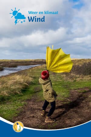 Weer en klimaat - Wind