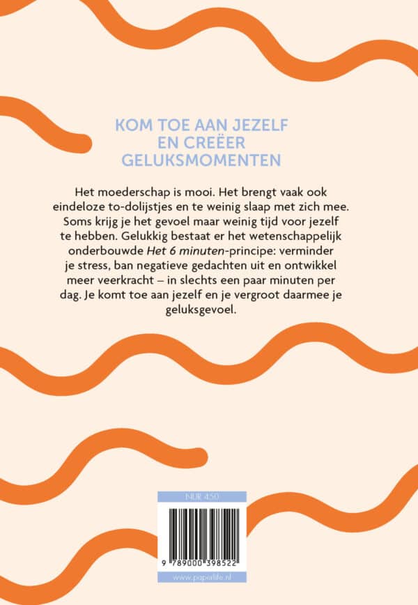 Het 6 minuten dagboek voor moeders1