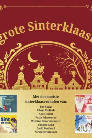 Het grote Sinterklaasboek