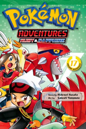 Pokémon - Het grote avontuur 17