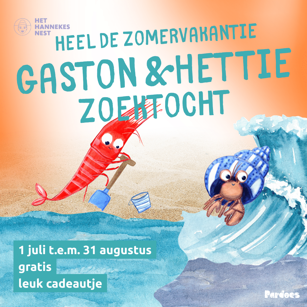 Zomerzoektocht Gaston & Hettie