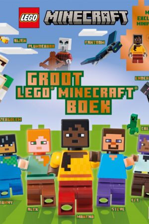 Groot LEGO® Minecraft™ boek
