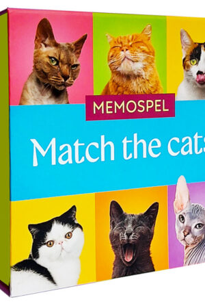 Match the cats! - Memospel