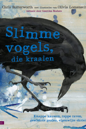 Slimme vogels, die kraaien