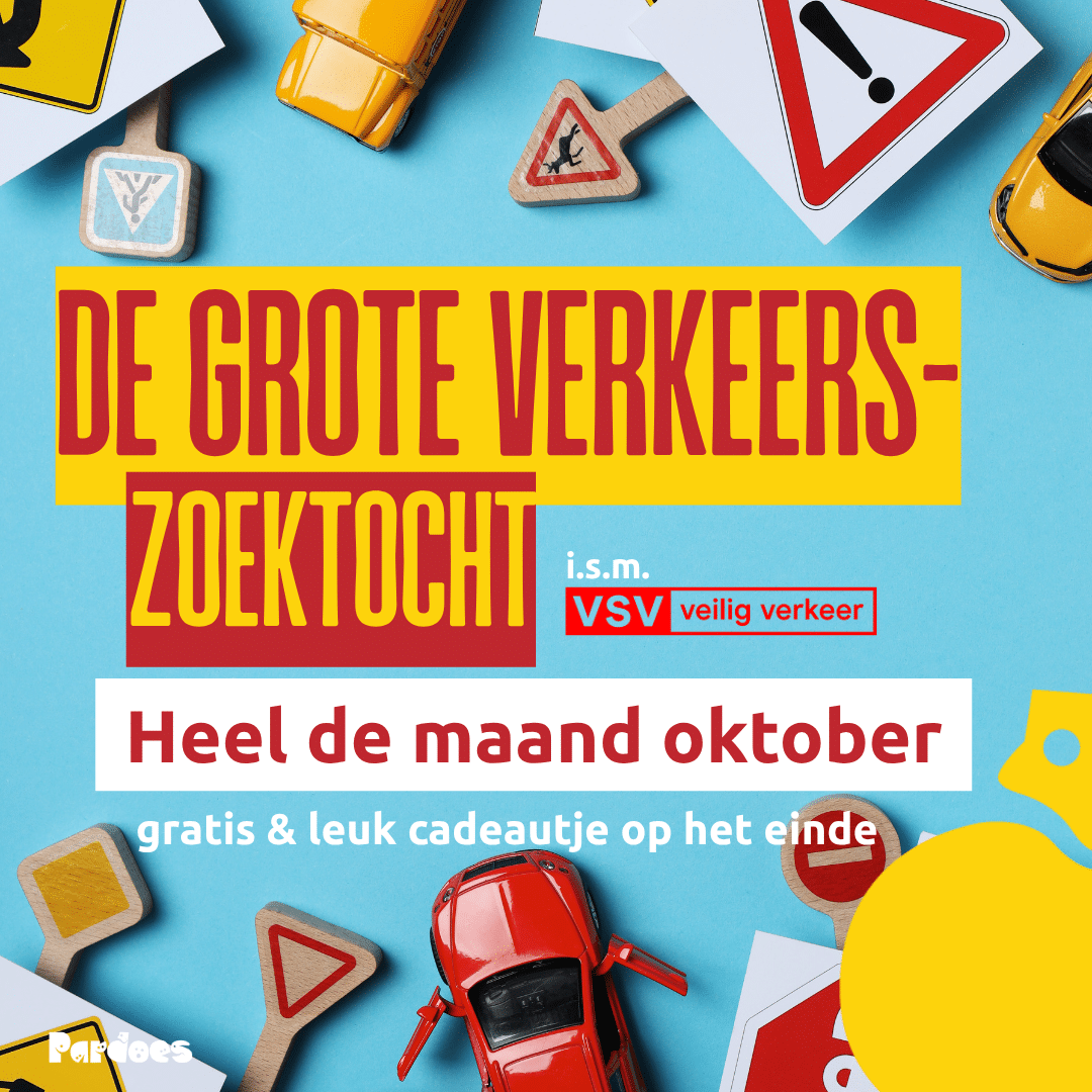 De Grote verkeerszoektocht