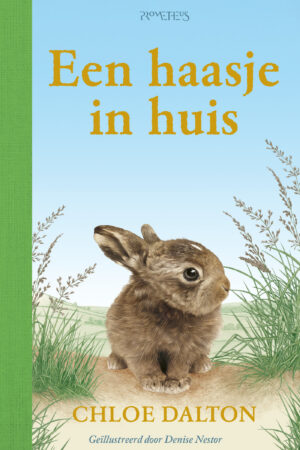 Een haasje in huis