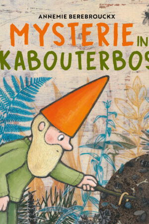Mysterie in het kabouterbos