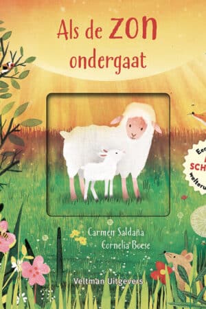 Als de zon ondergaat