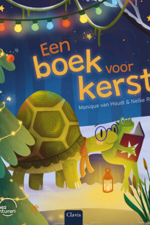 Boek voor kerst